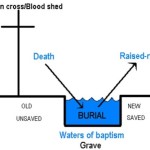 baptism2